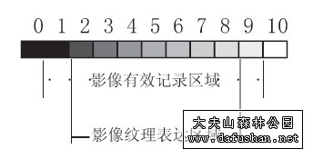 点击打开新窗口